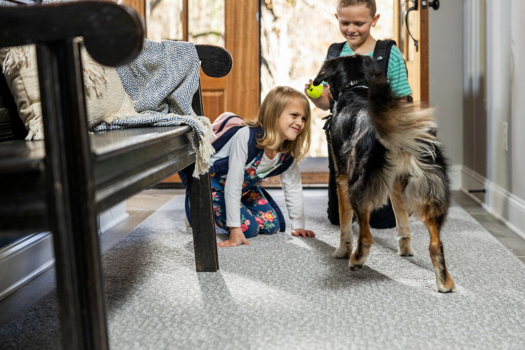 Pet Friendly Flooring | Mill Direct Floor Coverings
