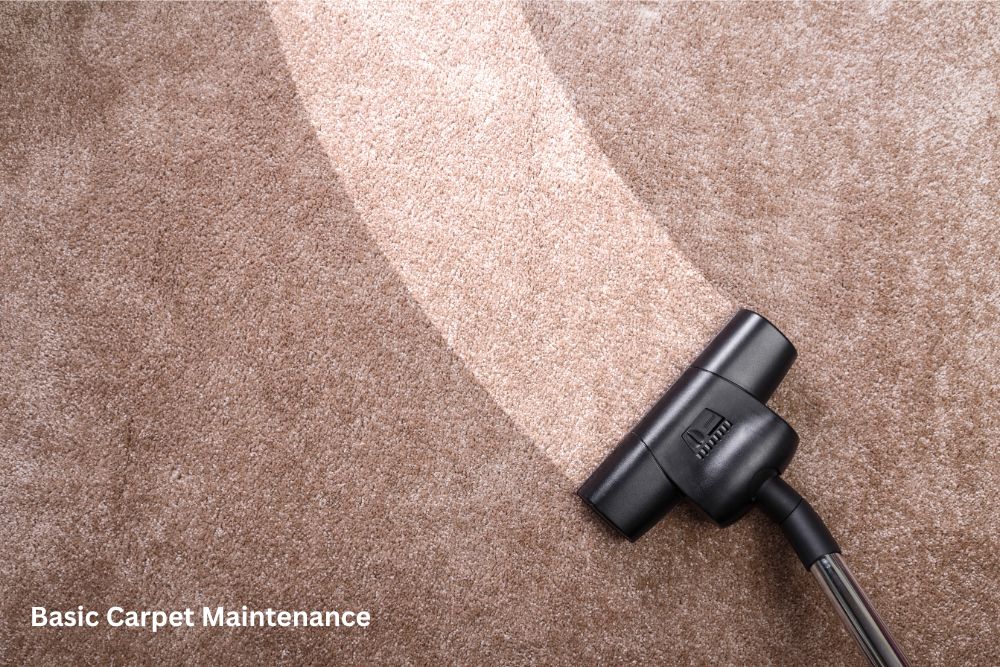 Carpet Daily Cleaning | Mill Direct Floor Coverings