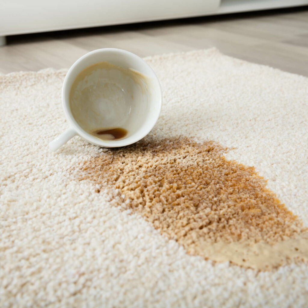 Professional Rug Cleaning | Mill Direct Floor Coverings