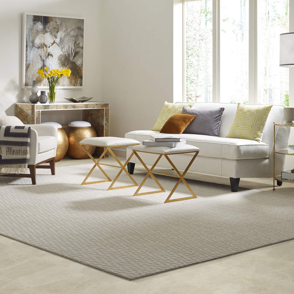 Area Rug | Mill Direct Floor Coverings