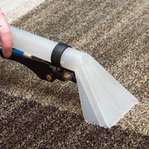 Carpet Cleaning | Mill Direct Floor Coverings