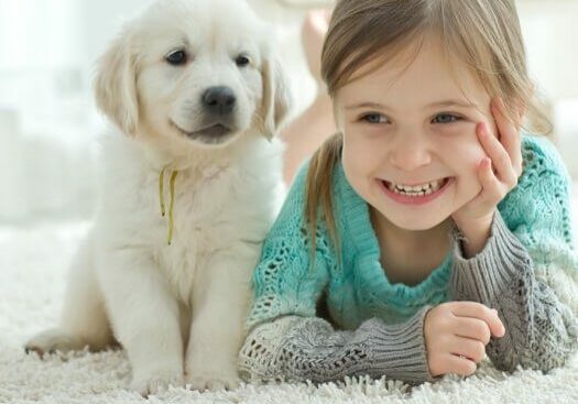 carpet-pet--square-1 Kid and dog on carpet | Mill Direct Floor Coverings